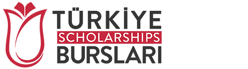 example personal statement for turkiye burslari scholarship